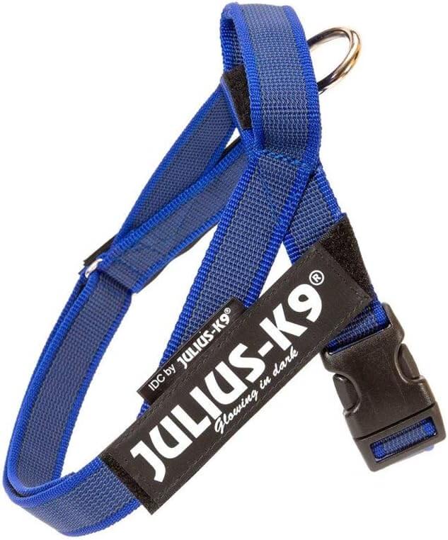 JULIUS K9 IDC Arnés Cinta Grey y Azul Para Perros Gabo&Gordo Pet Shop en Las Palmas de Gran Canaria tienda para mascotas, perros, gatos, conejos, tortugas, animales, accesorios para mascotas