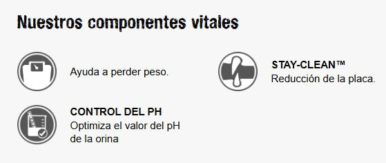 LEONARDO Adult Light & Sterilised | Pienso para gatos a partir de un año de edad y esterilizados. Gabo y Gordo E Shop, la mejor tienda online en Gran Canaria, Islas Canarias, España, tienda online para mascotas, perros, gatos, conejos, tortugas, animales, accesorios para mascotas en general.
Gabo y Gordo E Shop is the best online pet shop in Gran Canaria, Canary Islands, Spain.