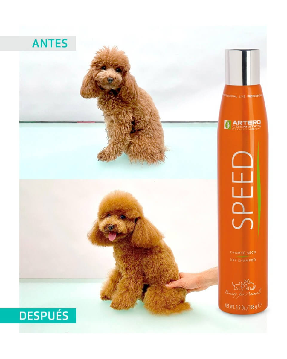 Artero Champú Seco Speed 300 ml en spray para perros y gatos. Limpia sin agua ni aclarado, aporta volumen, desinfecta y cuida la piel. Envío gratis en Gran Canaria a partir de 30 €.