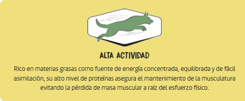 OWNAT Aceite de salmon para perros y gatos Gabo y Gordo E Shop, la mejor tienda online en las Islas Canarias, España, tienda online para mascotas, perros, gatos, conejos, tortugas, animales, accesorios para mascotas en general.
Gabo y Gordo E Shop in Canary Islands, the best store for pets, dogs, cats, rabbits, turtles, animals, pet accessories.