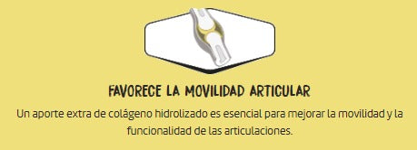 OWNAT Aceite de salmon para perros y gatos Gabo y Gordo E Shop, la mejor tienda online en las Islas Canarias, España, tienda online para mascotas, perros, gatos, conejos, tortugas, animales, accesorios para mascotas en general.
Gabo y Gordo E Shop in Canary Islands, the best store for pets, dogs, cats, rabbits, turtles, animals, pet accessories.