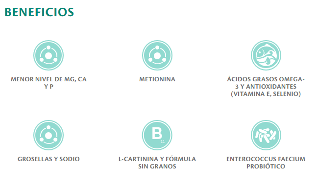 BRIT CARE VET DIETS CAT STRUVITE| Comida húmeda para Gatos 200 g x 6 unidades sin cereales Gabo y Gordo E Shop, la mejor tienda online en las Islas Canarias, España, tienda online para mascotas, perros, gatos, conejos, tortugas, animales, accesorios para mascotas en general.
Gabo y Gordo E Shop in Canary Islands, the best store for pets, dogs, cats, rabbits, turtles, animals, pet accessories.