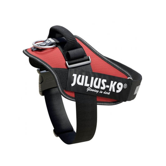 JULIUS K9 IDC Powerharness Arnés Granate Para Perros Gabo&Gordo Pet Shop en Las Palmas de Gran Canaria tienda para mascotas, perros, gatos, conejos, tortugas, animales, accesorios para mascotas