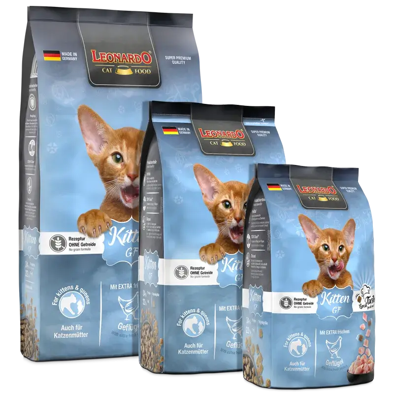 LEONARDO Kitten GF | Pienso para gatos en Gabo y Gordo E Shop, la mejor tienda online en Gran Canaria, Islas Canarias, España, tienda online para mascotas, perros, gatos, conejos, tortugas, animales, accesorios para mascotas en general.
Gabo y Gordo E Shop is the best online pet shop in Gran Canaria, Canary Islands, Spain.