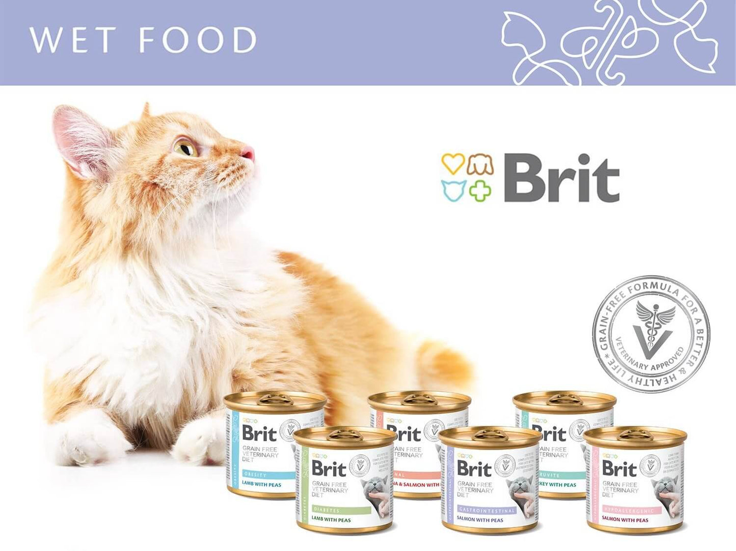 BRIT CARE VET DIETS CAT RENAL | Comida húmeda para Gatos 200 g x 6 unidades sin cereales Gabo y Gordo E Shop, la mejor tienda online en las Islas Canarias, España, tienda online para mascotas, perros, gatos, conejos, tortugas, animales, accesorios para mascotas en general.
Gabo y Gordo E Shop in Canary Islands, the best store for pets, dogs, cats, rabbits, turtles, animals, pet accessories.