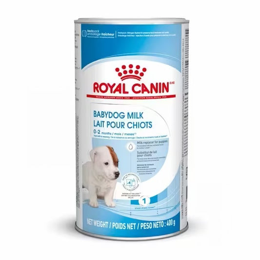 ROYAL CANIN baby dog milk | leche en polvo para perros cachorros Gabo y Gordo E Shop, la mejor tienda online en las Islas Canarias, España, tienda online para mascotas, perros, gatos, conejos, tortugas, animales, accesorios para mascotas en general. 
Gabo y Gordo E Shop in Canary Islands, the best store for pets, dogs, cats, rabbits, turtles, animals, pet accessories.