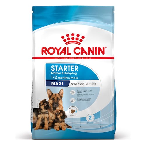 ROYAL CANIN Maxi STARTER Mother & Babydog Gabo y Gordo E Shop, la mejor tienda online en las Islas Canarias, España, tienda online para mascotas, perros, gatos, conejos, tortugas, animales, accesorios para mascotas en general. 
Gabo y Gordo E Shop in Canary Islands, the best store for pets, dogs, cats, rabbits, turtles, animals, pet accessories.