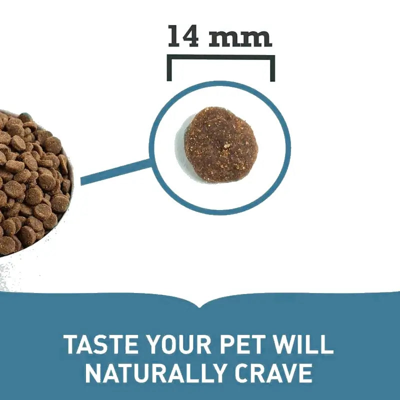 ACANA Pacifica pienso sin cereales con 5 pescados frescos para perros
