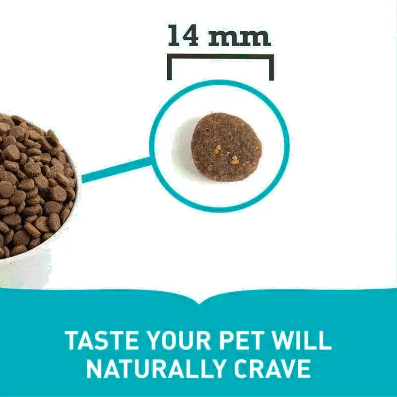 ACANA Wild Coast – Pienso con pescado natural para perros de todas las edades
