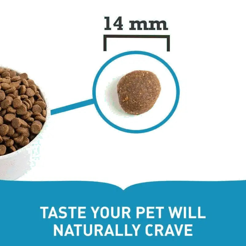 🐾 ACANA Adult Dog Recipe | Pienso natural sin cereales para perros de todas las razas y edades