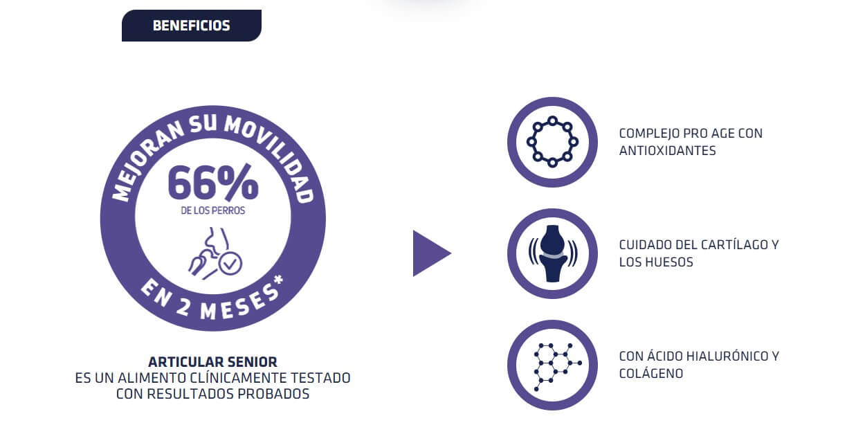 Pienso ADVANCE Articular Senior para perros mayores con problemas articulares