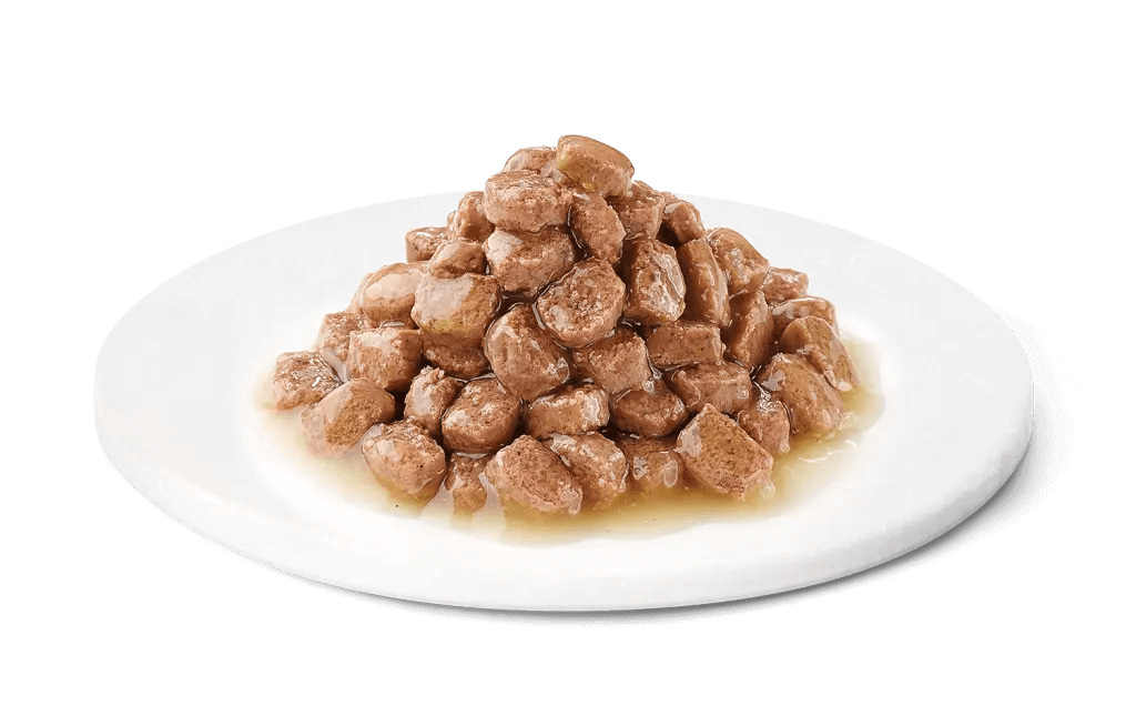 Comida húmeda ADVANCE Kitten con pavo para gatitos, pack 12 sobres de 85 g