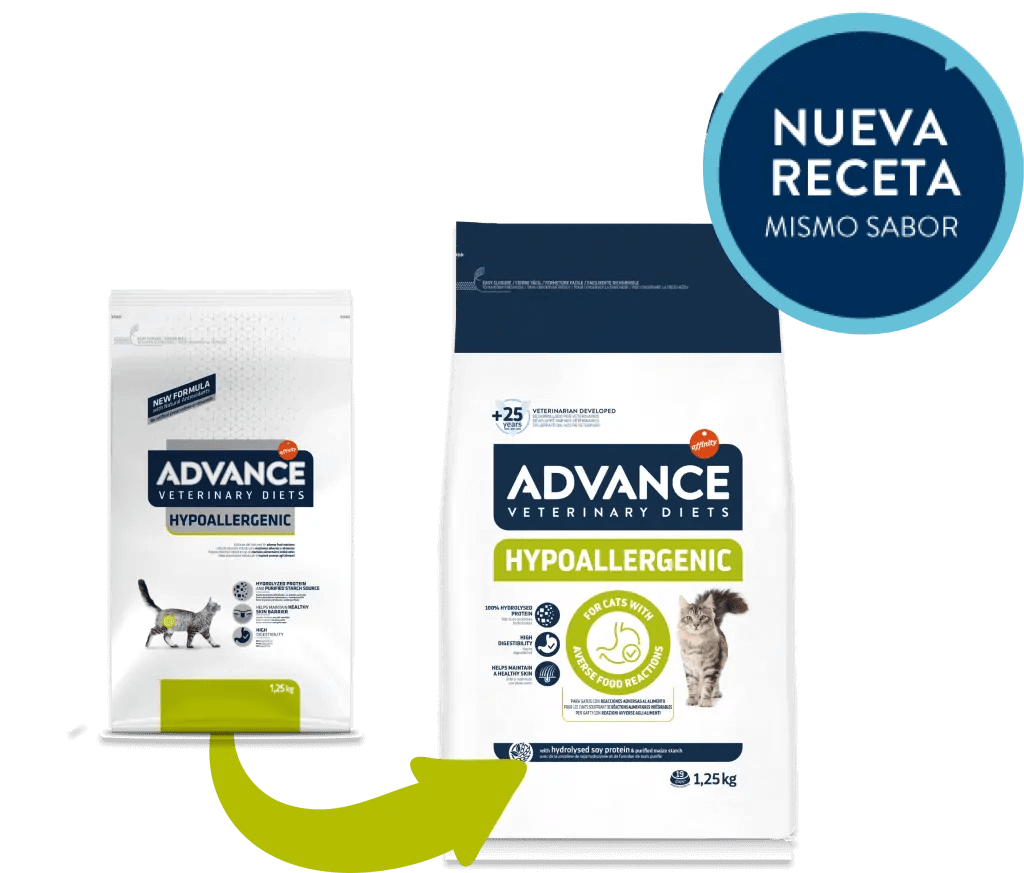 Gato adulto junto al pienso ADVANCE Hypoallergenic 1,25 kg – alimento hipoalergénico para alergias e intolerancias alimentarias.