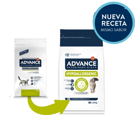 Gato adulto junto al pienso ADVANCE Hypoallergenic 1,25 kg – alimento hipoalergénico para alergias e intolerancias alimentarias.