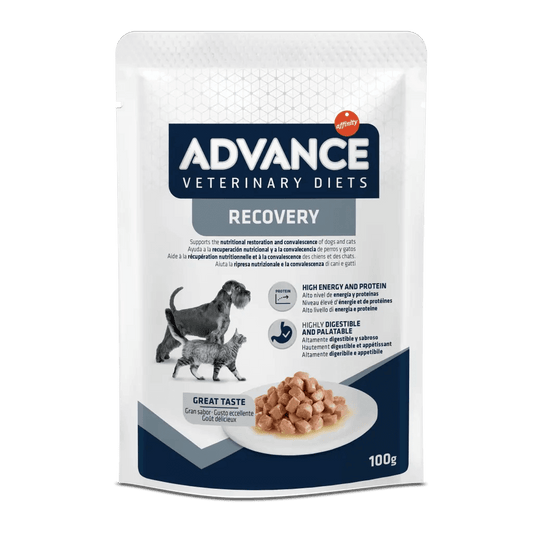 Tarrinas ADVANCE Recovery para perros y gatos adultos – comida húmeda de recuperación nutricional, pack de 11 x 100 g, disponible en Gabo y Gordo E Shop