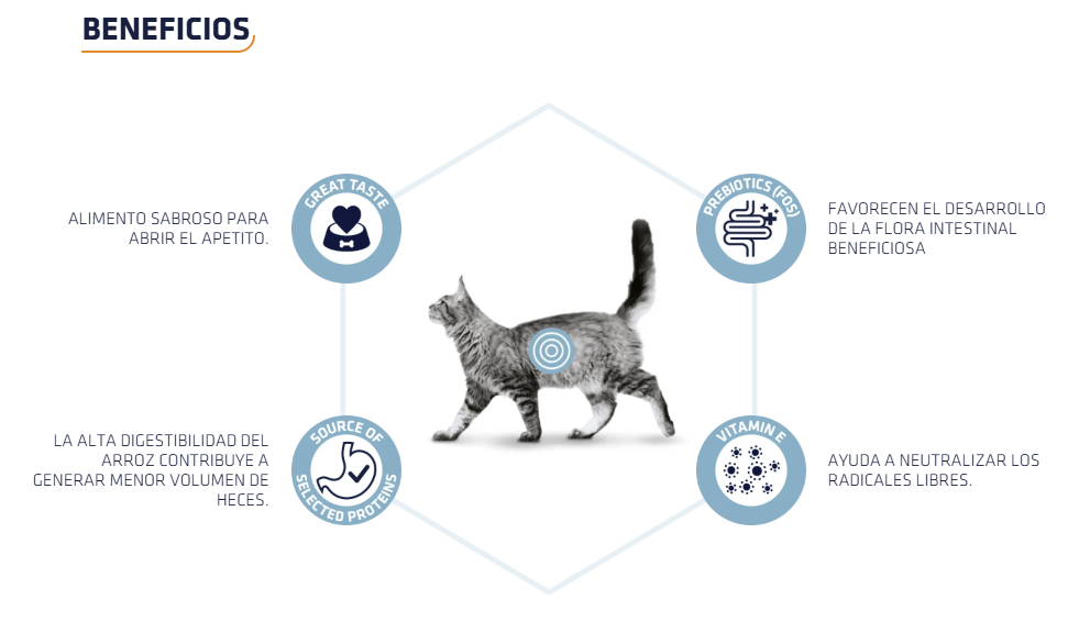 Comida húmeda digestiva para gatos y gatitos ADVANCE Vet Gastroenteric, pack 12 x 85g