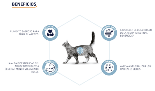 Comida húmeda digestiva para gatos y gatitos ADVANCE Vet Gastroenteric, pack 12 x 85g