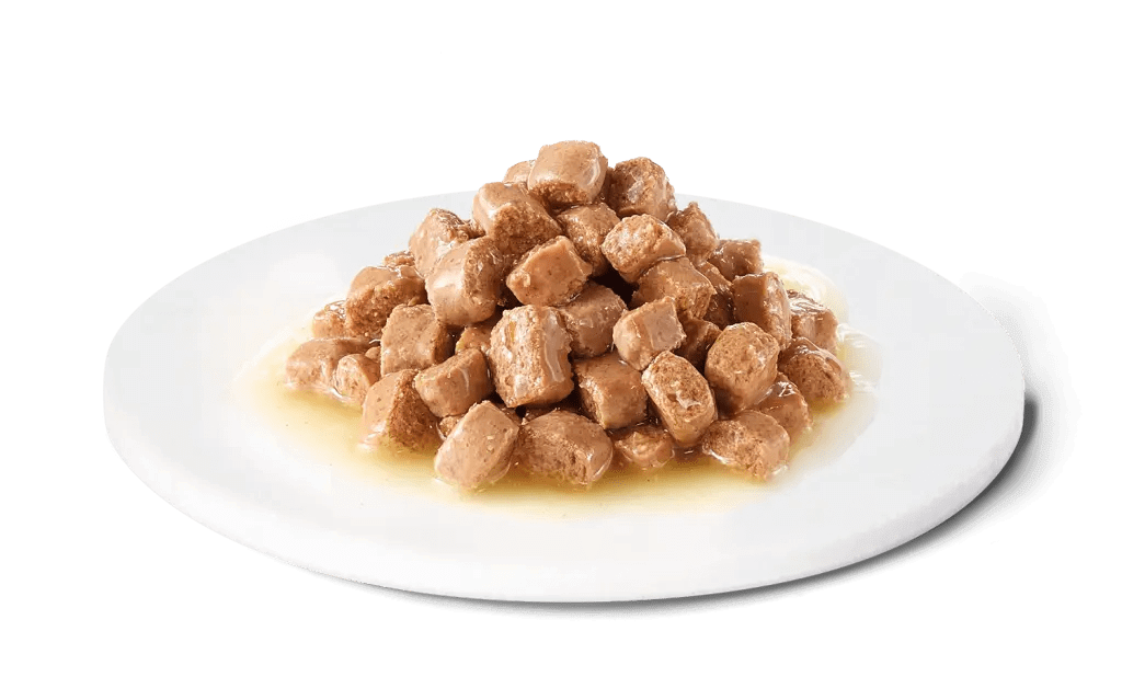 Comida húmeda digestiva para gatos y gatitos ADVANCE Vet Gastroenteric, pack 12 x 85g