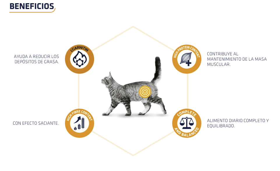 Comida húmeda ADVANCE Vet Weight Balance gato adulto – control de peso