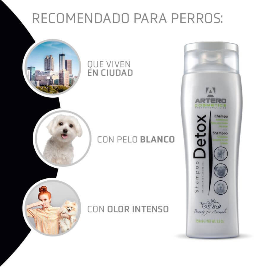 Champú Artero Detox con carbón activo para perros y gatos, formato 250 ml
