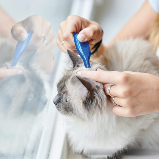 Beaphar Calming Spot On para gatos con valeriana 3 pipetas de 0,4 ml