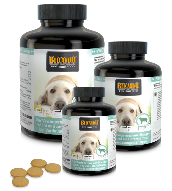 BELCANDO Fiber 60 Tabs suplemento para perros con sobrepeso o problemas digestivos
