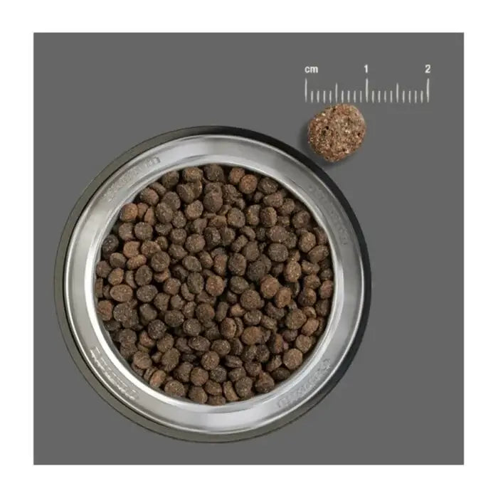 BELCANDO Finest Grain Free Lamb – Pienso sin cereales ni gluten con cordero fresco para perros adultos