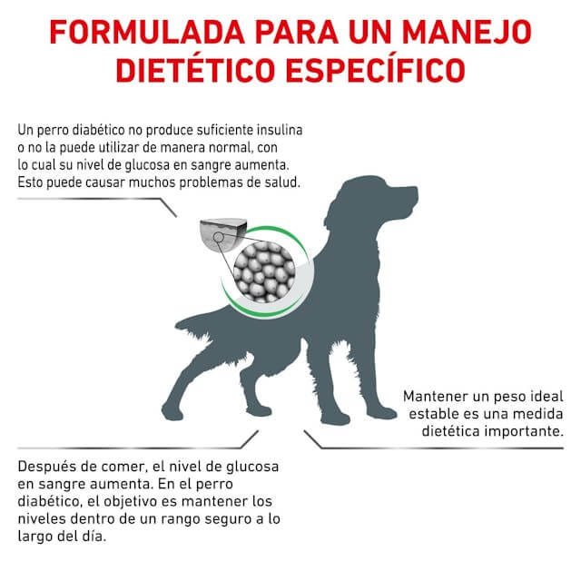 ROYAL CANIN Diabetic | Alimento dietético completo para perros adultos.  Gabo y Gordo E Shop, la mejor tienda online en las Islas Canarias, España, tienda online para mascotas, perros, gatos, conejos, tortugas, animales, accesorios para mascotas en general. 
Gabo y Gordo E Shop in Canary Islands, the best store for pets, dogs, cats, rabbits, turtles, animals, pet accessories.