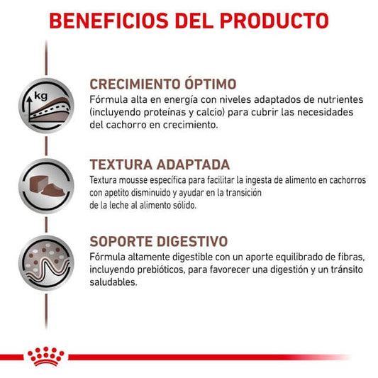 ROYAL CANIN Puppy Paté  | Pack de lata de 12 x 195 g para  cachorros.  Gabo y Gordo E Shop, la mejor tienda online en las Islas Canarias, España, tienda online para mascotas, perros, gatos, conejos, tortugas, animales, accesorios para mascotas en general. 
Gabo y Gordo E Shop in Canary Islands, the best store for pets, dogs, cats, rabbits, turtles, animals, pet accessories.