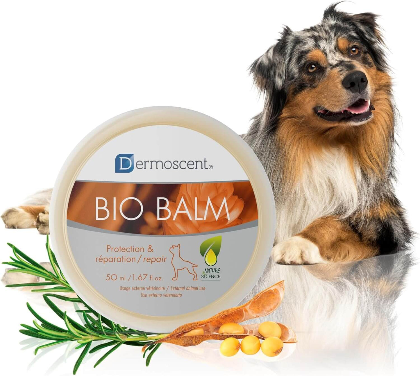 Bálsamo hidratante Biobalm Dermoscent para perros - 50 ml - Ideal para trufa, almohadillas y callos