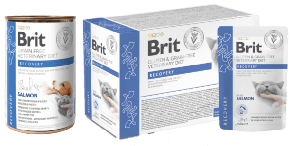 Comida húmeda BRIT Recovery Cat Pouch para gatos en recuperación con salmón – 85 g x 12 uds