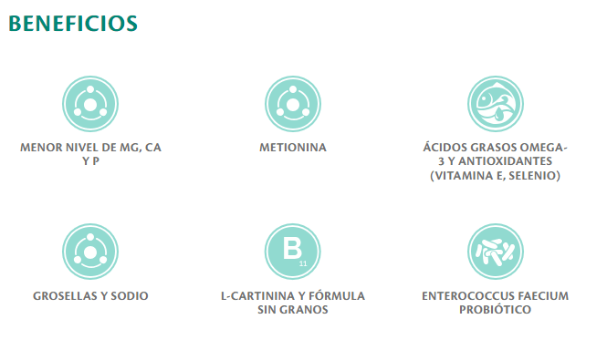 BRIT Vet Diets Struvite – Pienso veterinario para perros con problemas urinarios