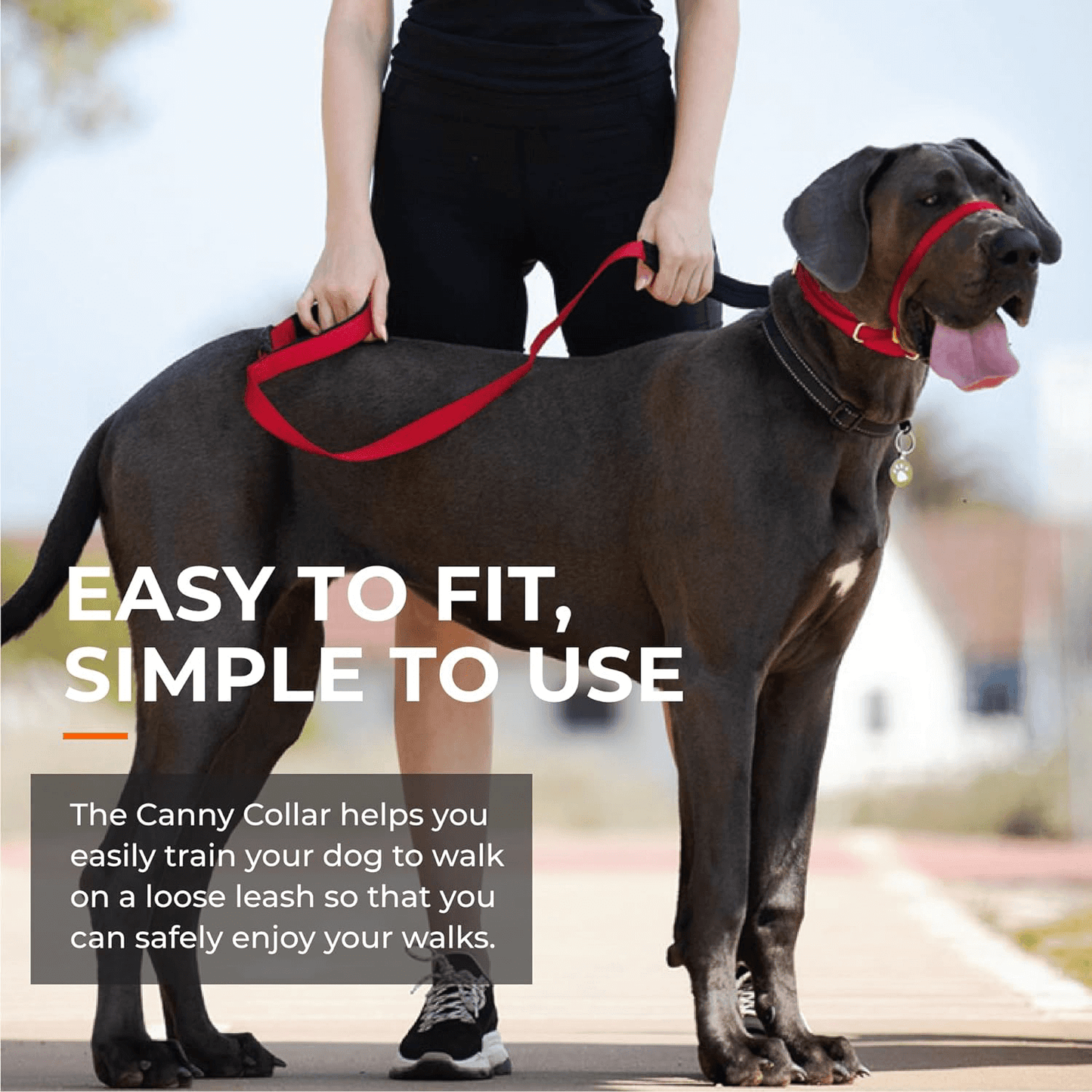 Canny Collar | El mejor collar anti tirones para ayudar a entrenar a tu perro a no tirar. Gabo y Gordo E Shop, la mejor tienda online en las Islas Canarias, España, tienda online para mascotas, perros, gatos, conejos, tortugas, animales, accesorios para mascotas en general.
Gabo y Gordo E Shop in Canary Islands, the best store for pets, dogs, cats, rabbits, turtles, animals, pet accessories.