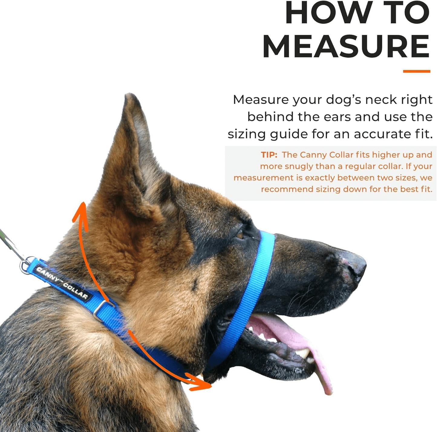 Canny Collar | El mejor collar anti tirones para ayudar a entrenar a tu perro a no tirar. Gabo y Gordo E Shop, la mejor tienda online en las Islas Canarias, España, tienda online para mascotas, perros, gatos, conejos, tortugas, animales, accesorios para mascotas en general.
Gabo y Gordo E Shop in Canary Islands, the best store for pets, dogs, cats, rabbits, turtles, animals, pet accessories.