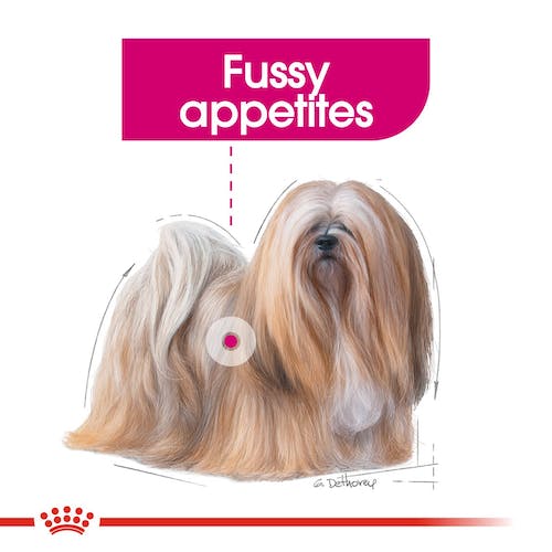 ROYAL CANIN Gama Care EXIGENT para perros En Las Palmas de Gran Canaria