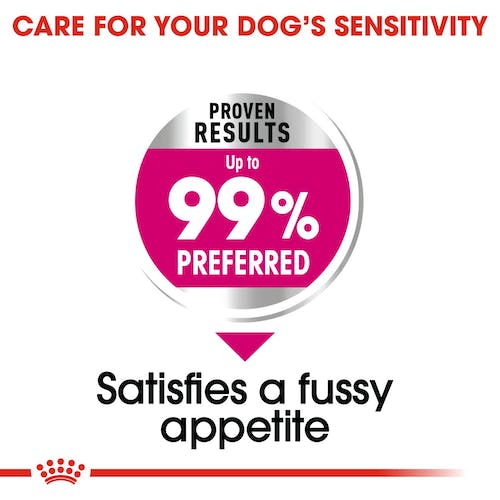 ROYAL CANIN Gama Care EXIGENT para perros En Las Palmas de Gran Canaria