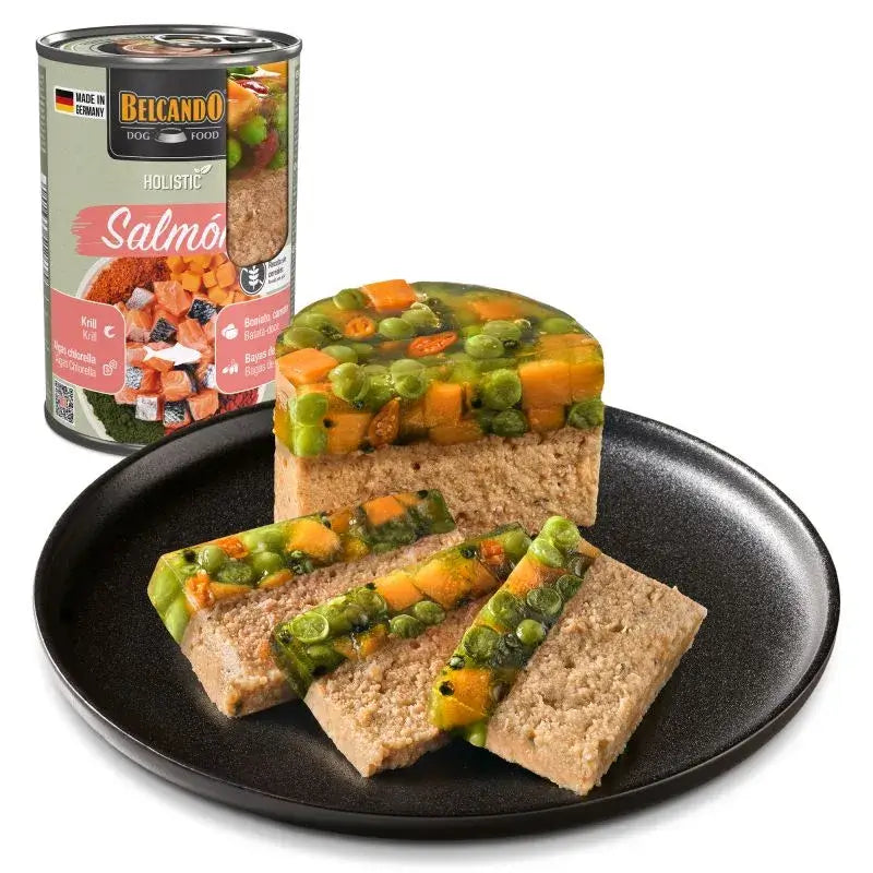 Comida húmeda Holistic salmón sin cereales para perros adultos 400g Made in Germany