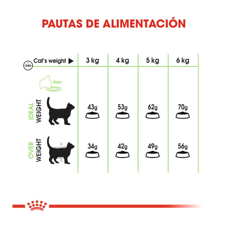 ROYAL CANIN Digestive Care / Pienso Para Gatos. Gabo y Gordo E Shop, la mejor tienda online en las Islas Canarias, España, tienda online para mascotas, perros, gatos, conejos, tortugas, animales, accesorios para mascotas en general.
Gabo y Gordo E Shop in Canary Islands, the best store for pets, dogs, cats, rabbits, turtles, animals, pet accessories.