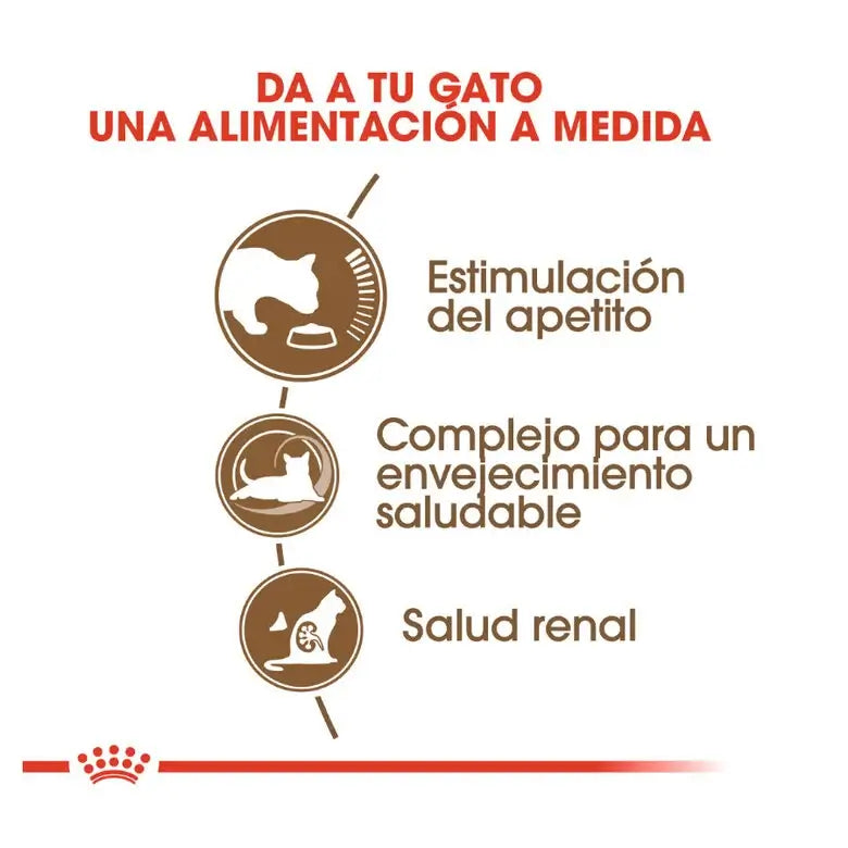 ROYAL CANIN Ageing +12 / Pienso Para Gatos. Gabo y Gordo E Shop, la mejor tienda online en las Islas Canarias, España, tienda online para mascotas, perros, gatos, conejos, tortugas, animales, accesorios para mascotas en general. 
Gabo y Gordo E Shop in Canary Islands, the best store for pets, dogs, cats, rabbits, turtles, animals, pet accessories.
