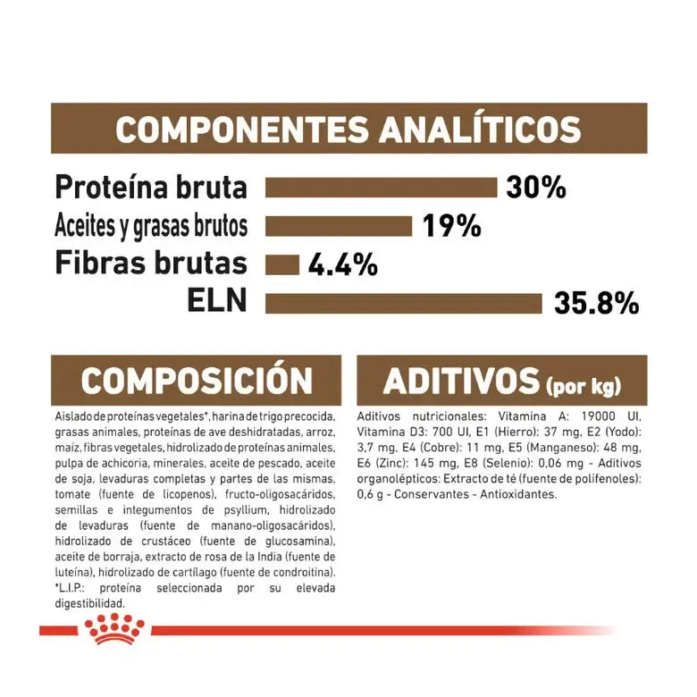 ROYAL CANIN Ageing +12 / Pienso Para Gatos. Gabo y Gordo E Shop, la mejor tienda online en las Islas Canarias, España, tienda online para mascotas, perros, gatos, conejos, tortugas, animales, accesorios para mascotas en general. 
Gabo y Gordo E Shop in Canary Islands, the best store for pets, dogs, cats, rabbits, turtles, animals, pet accessories.