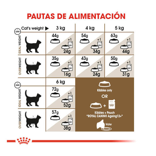 ROYAL CANIN Ageing +12 / Pienso Para Gatos. Gabo y Gordo E Shop, la mejor tienda online en las Islas Canarias, España, tienda online para mascotas, perros, gatos, conejos, tortugas, animales, accesorios para mascotas en general. 
Gabo y Gordo E Shop in Canary Islands, the best store for pets, dogs, cats, rabbits, turtles, animals, pet accessories.
