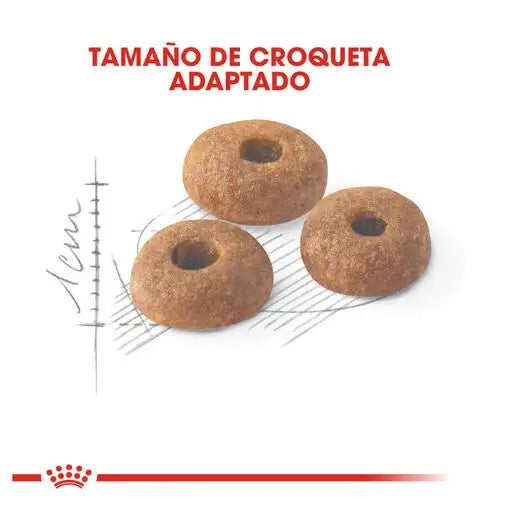 ROYAL CANIN Fit 32 / Pienso Para Gatos. Gabo y Gordo E Shop, la mejor tienda online en las Islas Canarias, España, tienda online para mascotas, perros, gatos, conejos, tortugas, animales, accesorios para mascotas en general.
Gabo y Gordo E Shop in Canary Islands, the best store for pets, dogs, cats, rabbits, turtles, animals, pet accessories.