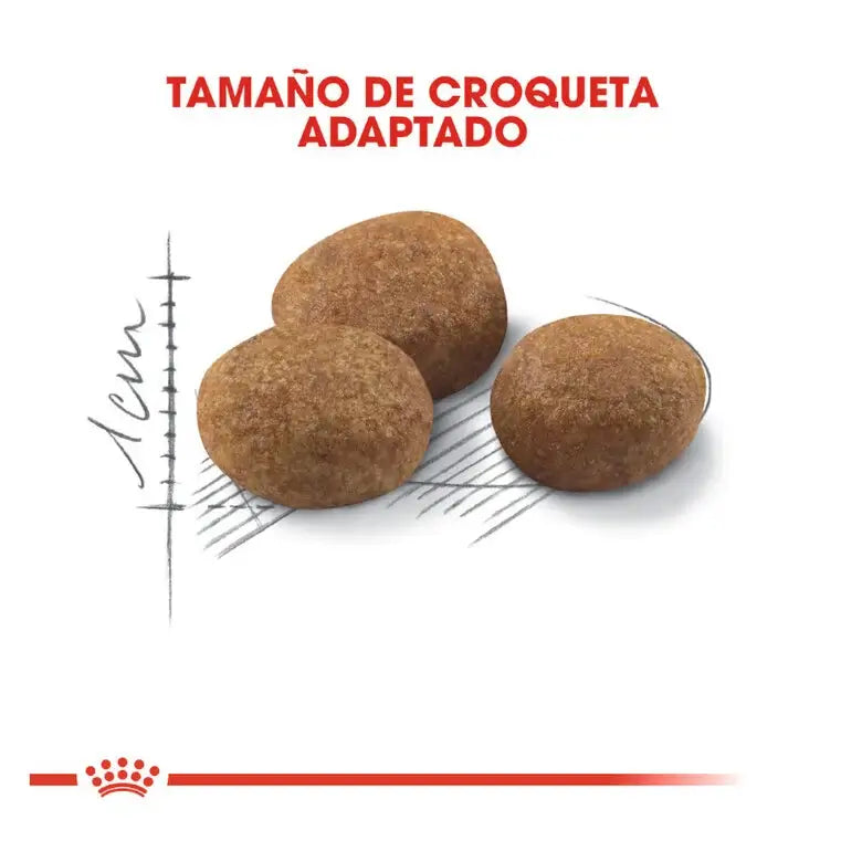 ROYAL CANIN Regular Sterilized +7 / Pienso Para Gatos Gabo y Gordo E Shop, la mejor tienda online en las Islas Canarias, España, tienda online para mascotas, perros, gatos, conejos, tortugas, animales, accesorios para mascotas en general.
Gabo y Gordo E Shop in Canary Islands, the best store for pets, dogs, cats, rabbits, turtles, animals, pet accessories.