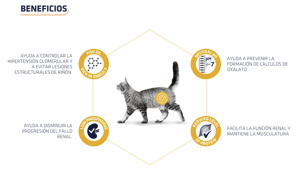 ADVANCE Vet Renal | Comida húmeda para gatos adultos Pack 12 x 85g.  Gabo y Gordo E Shop, la mejor tienda online en las Islas Canarias, España, tienda online para mascotas, perros, gatos, conejos, tortugas, animales, accesorios para mascotas en general. 
Gabo y Gordo E Shop in Canary Islands, the best store for pets, dogs, cats, rabbits, turtles, animals, pet accessories.