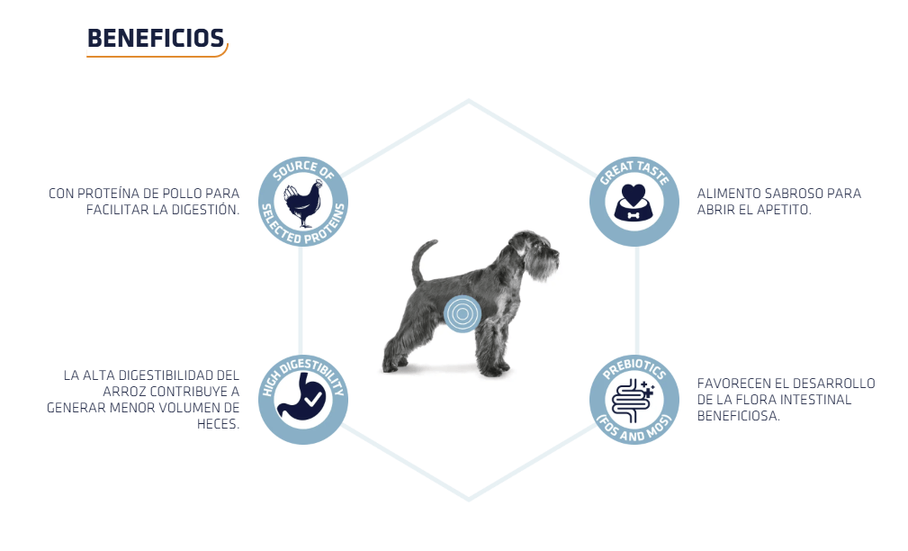 ADVANCE Gastroenteric Adult – comida húmeda veterinaria digestiva para perros adultos y cachorros mayores de 14 semanas. Pack 8 x 150 g, disponible en Gabo y Gordo E Shop.