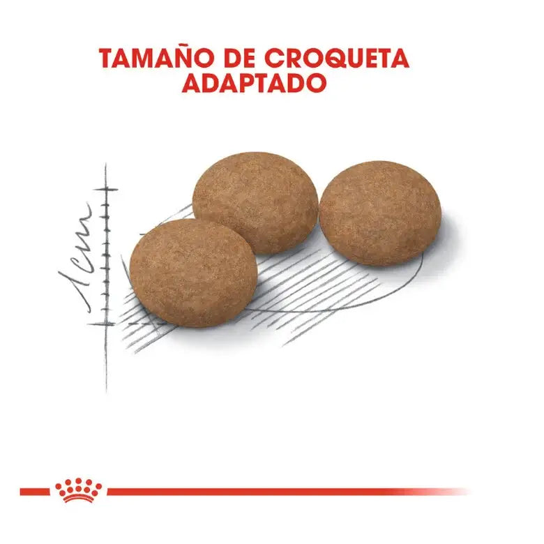 ROYAL CANIN Ageing +12 Sterilised/Pienso Para Gatos. Gabo y Gordo E Shop, la mejor tienda online en las Islas Canarias, España, tienda online para mascotas, perros, gatos, conejos, tortugas, animales, accesorios para mascotas en general. 
Gabo y Gordo E Shop in Canary Islands, the best store for pets, dogs, cats, rabbits, turtles, animals, pet accessories.