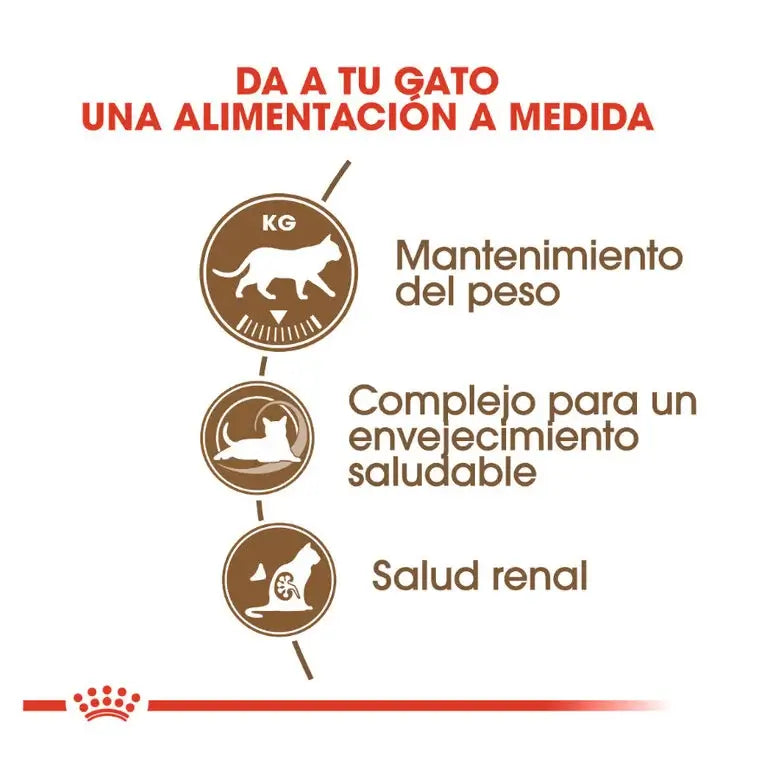 ROYAL CANIN Ageing +12 Sterilised/Pienso Para Gatos. Gabo y Gordo E Shop, la mejor tienda online en las Islas Canarias, España, tienda online para mascotas, perros, gatos, conejos, tortugas, animales, accesorios para mascotas en general. 
Gabo y Gordo E Shop in Canary Islands, the best store for pets, dogs, cats, rabbits, turtles, animals, pet accessories.