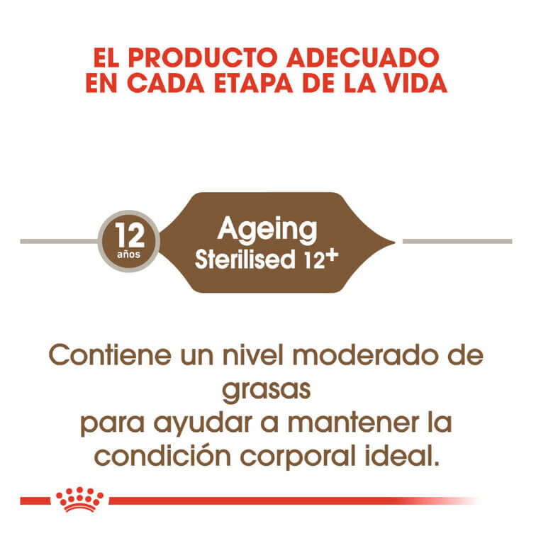 ROYAL CANIN Ageing +12 Sterilised/Pienso Para Gatos. Gabo y Gordo E Shop, la mejor tienda online en las Islas Canarias, España, tienda online para mascotas, perros, gatos, conejos, tortugas, animales, accesorios para mascotas en general. 
Gabo y Gordo E Shop in Canary Islands, the best store for pets, dogs, cats, rabbits, turtles, animals, pet accessories.