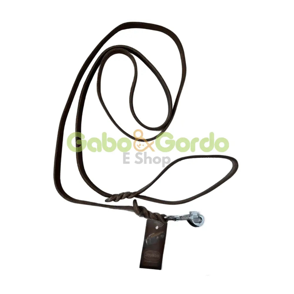 Correa de cuero marrón JHS Junior Hundebedarf 15mm x 220cm con mosquetón inoxidable