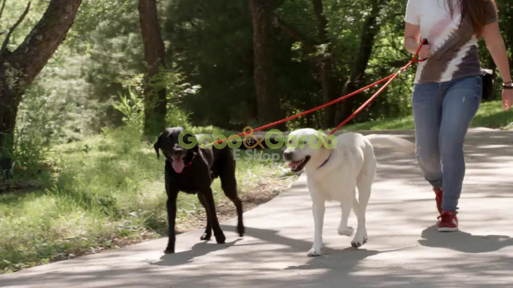 Correa Doble Caldwell Peteast Dog Leash de 137 cm para perros hasta 45 kg, con asas acolchadas y sistema antienredos